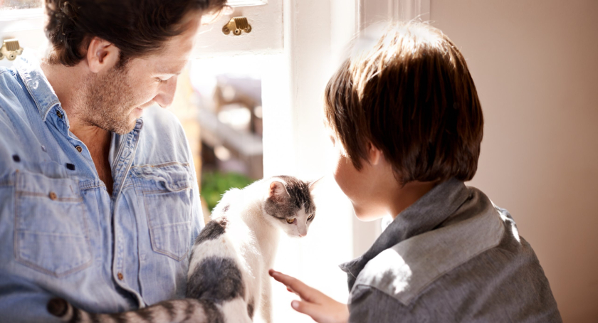 New Applications Drive Development in Pet Care Market